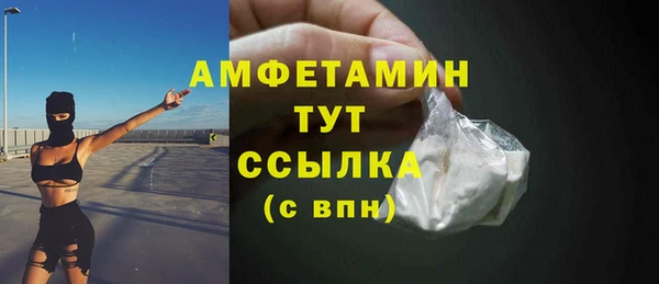 мет Алексин
