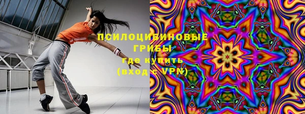 мет Алексин