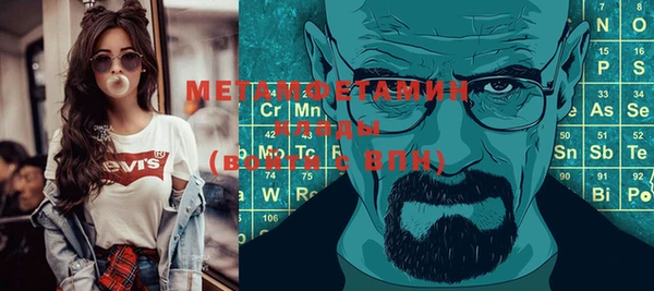 мет Алексин