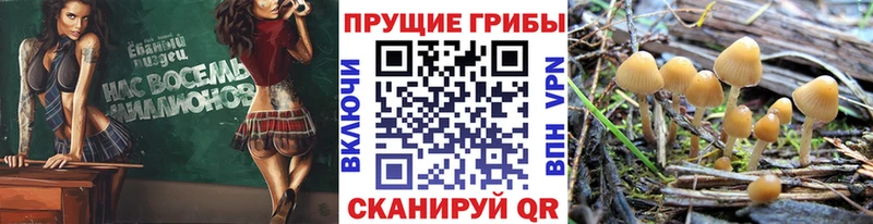Галлюциногенные грибы ЛСД  Черепаново 